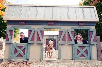A few engagement pics