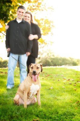 A few engagement pics