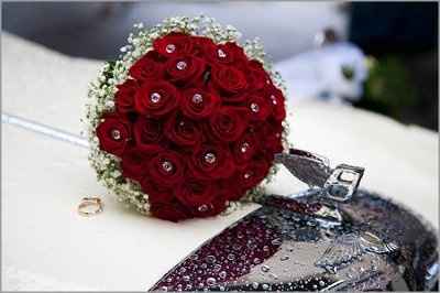 Want to see flowers!!!