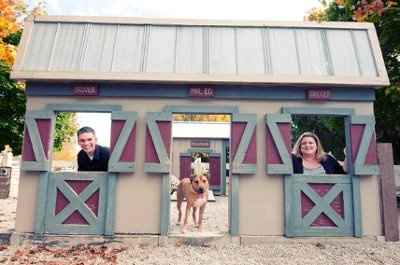 A few engagement pics