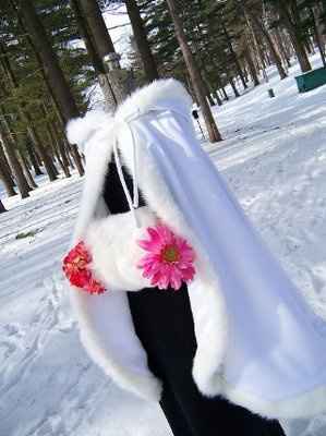 I don't want to freeze!!