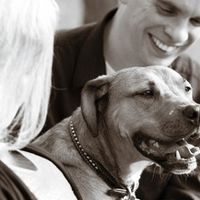 A few engagement pics