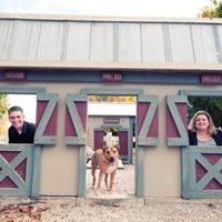 A few engagement pics