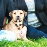 Just for fun- haven't seen the furbabies in awhile