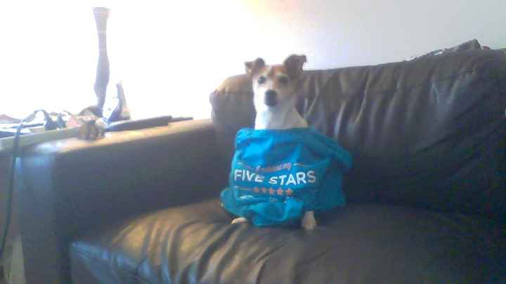 NWR: Update: A New Use For WW 5 Star Shirt