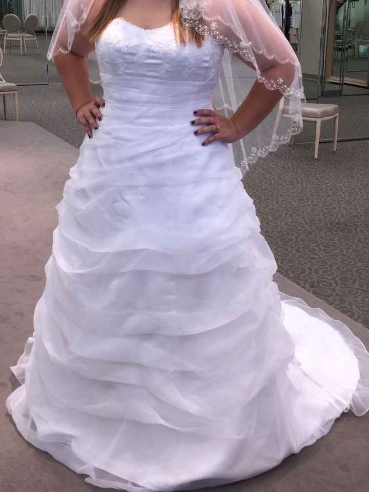 Veil Opinions? Show me your veils!