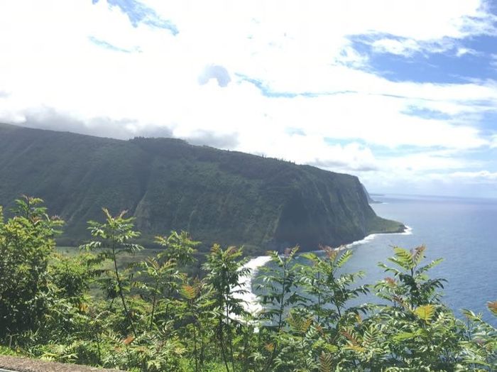 Part 1 of Honeymoon - Complete!