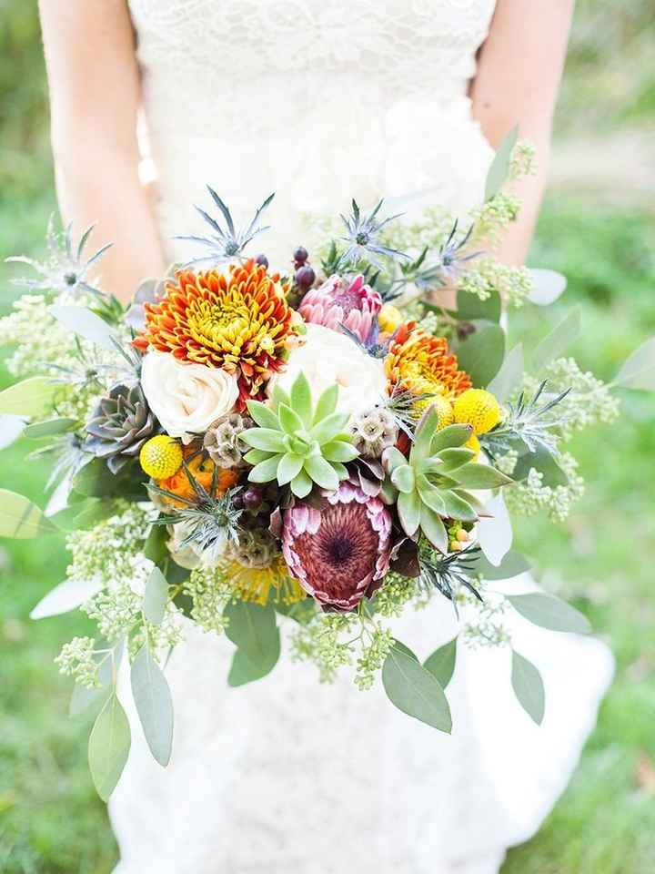 Succulents: In or Out? - 3