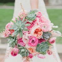 Succulents: In or Out? - 1