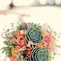 Succulents: In or Out? - 2