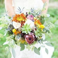 Succulents: In or Out? - 3