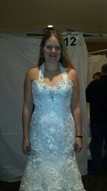 Dress alteration questions