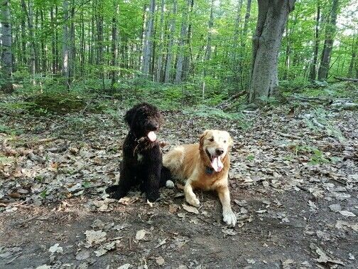 NWR- pets! We love them show me yours :)
