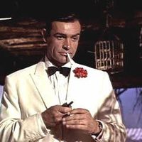 Does anyone have pics of their man's tux or suit??