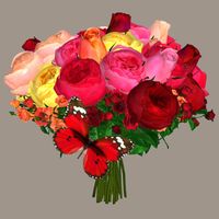 Did you ever use online bouquet constructors ? - 1