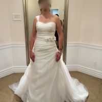 Did anyone add straps or sleeves to your dress?  Pics wanted!