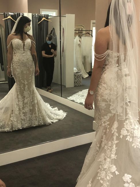 thoughts on this Dress? 2