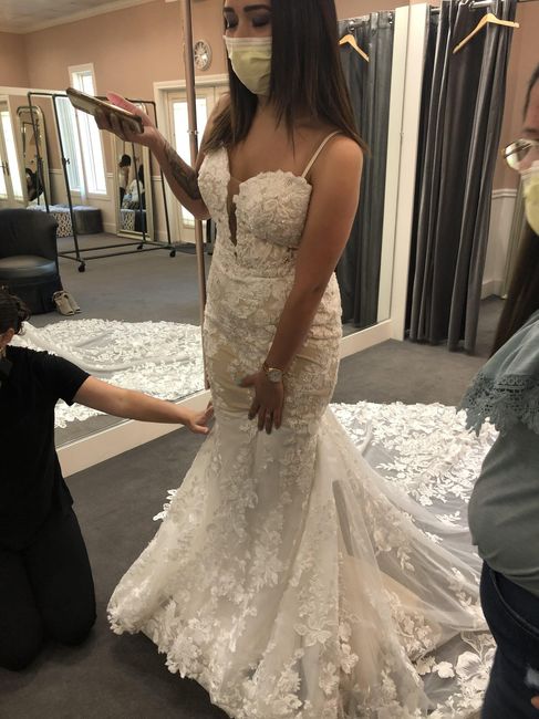 thoughts on this Dress? 3