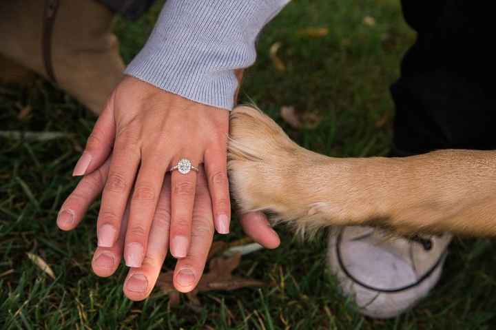 My ring with our pup! 