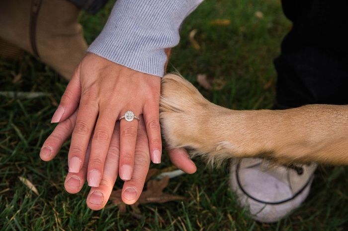 My ring with our pup! 