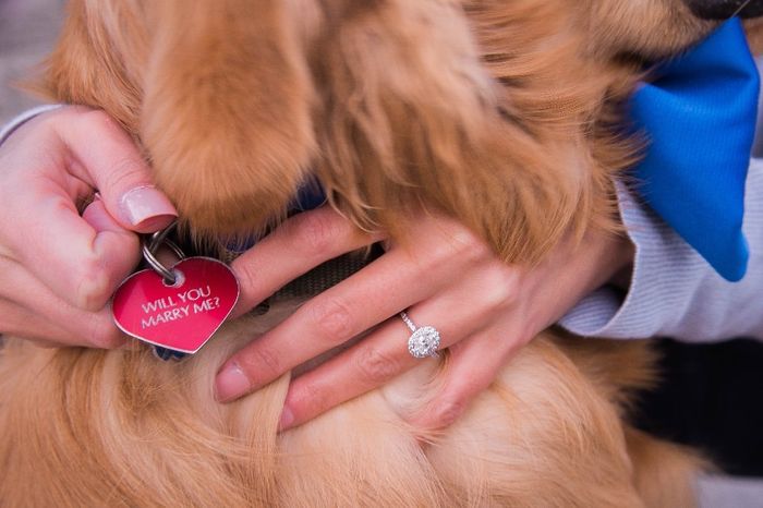 Show me... your halo engagement rings!! 💍 7