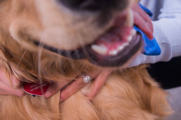 Will you marry me 