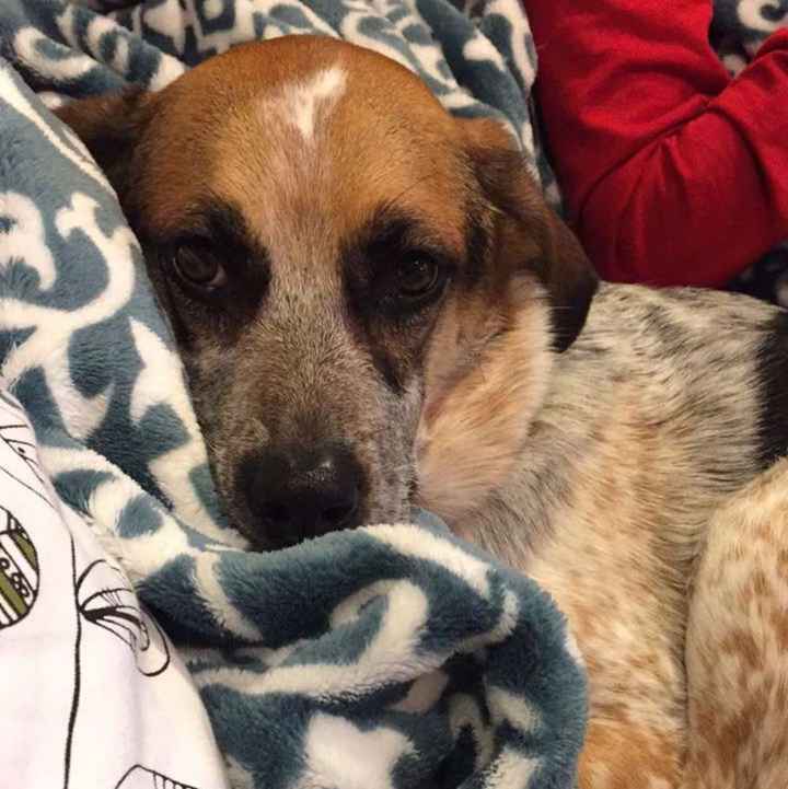 NWR: Show me your pups!