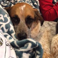 NWR: Show me your pups!