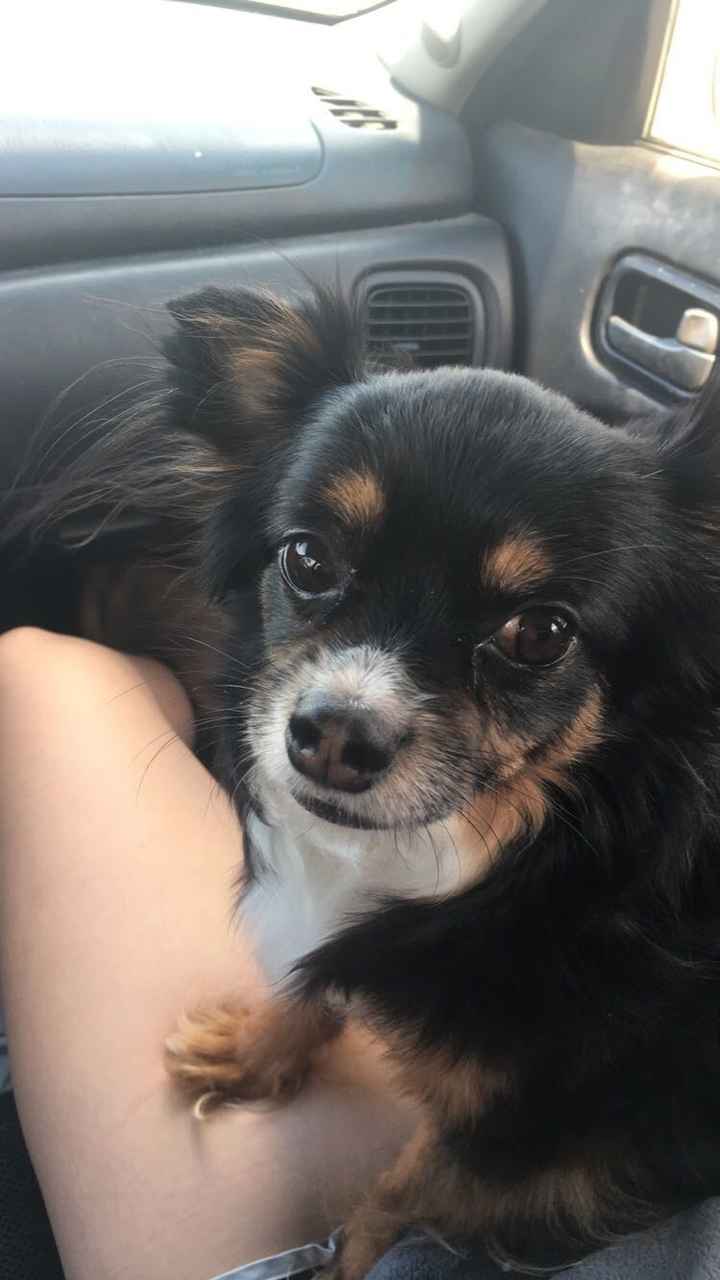 NWR: Losing our husky