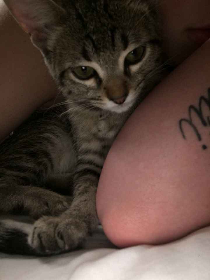 Show Me... Cheering Up!