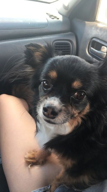 NWR: Losing our husky