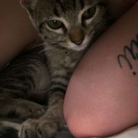 Show Me... Cheering Up!