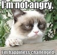 It's been a while...