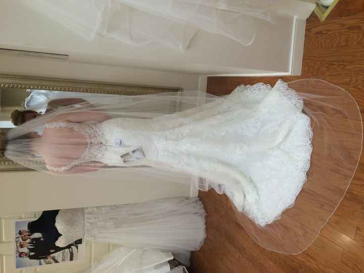 Veils!