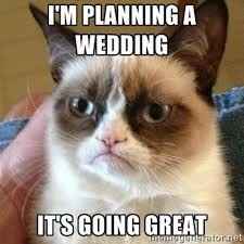 Wedding Planning Memes