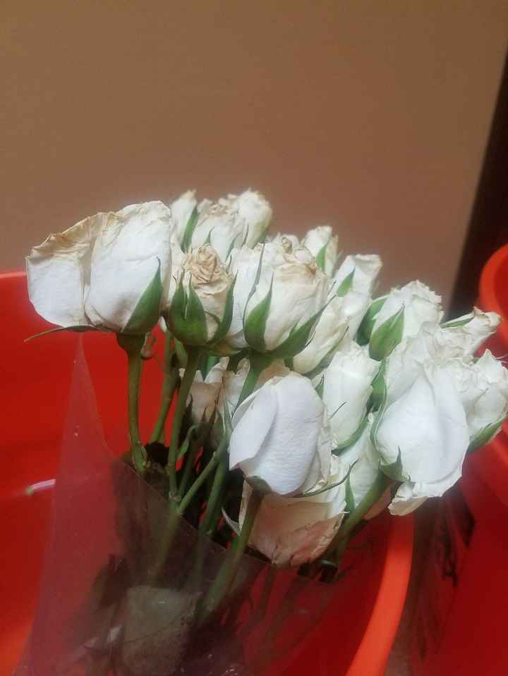 Flowers after about 30 hours...