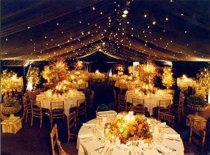 WW Poll: Venue Type