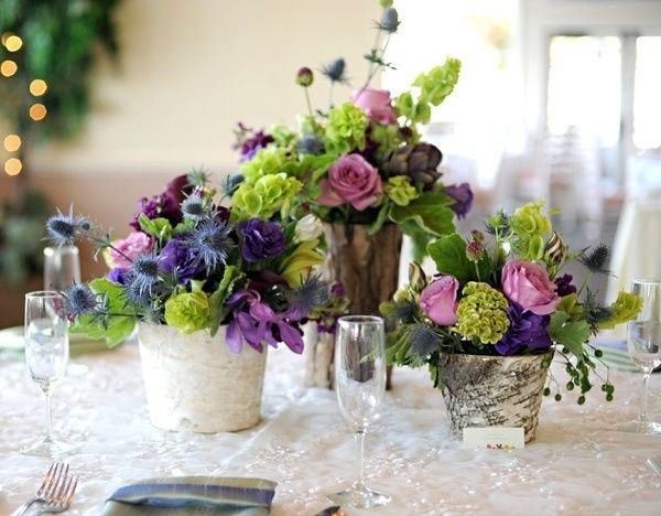 Purple & Green