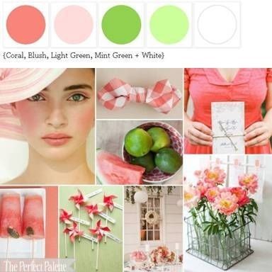 Help me pick an accent color!