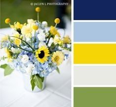 Color Schemes