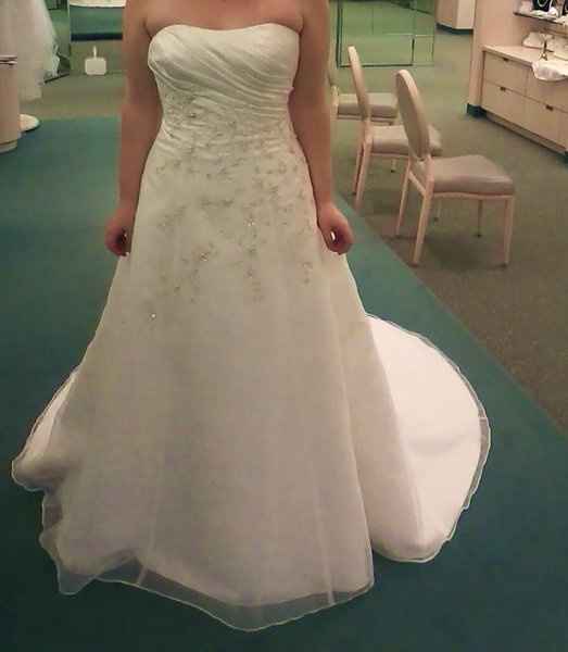 Davids Bridal brides??