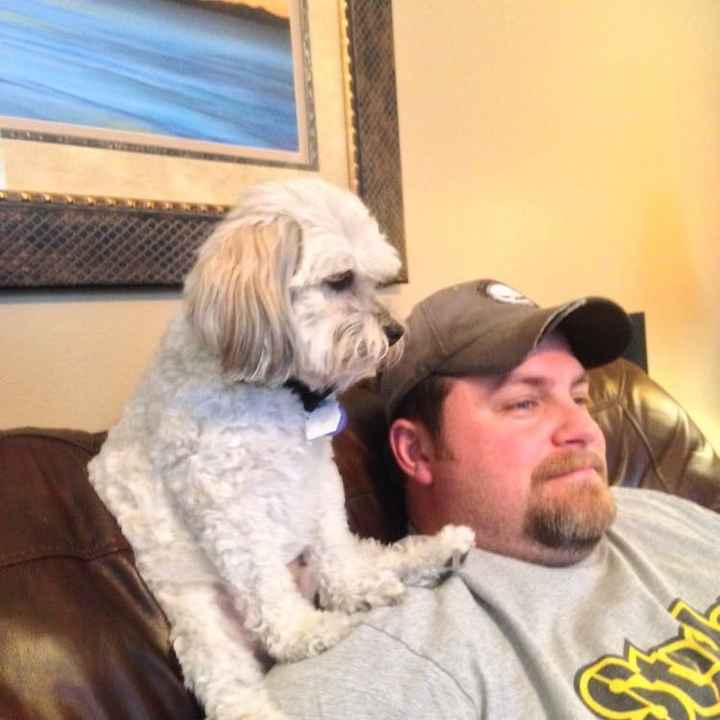 Fur Babies (Give the Best Hugs)