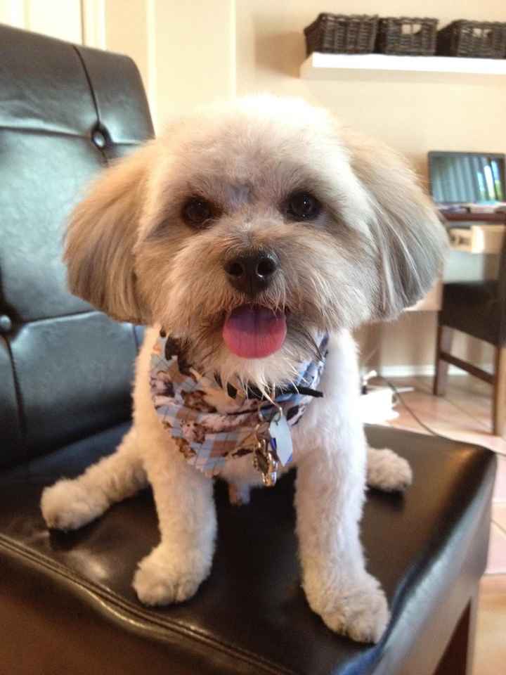 NWR: Need some well wishes