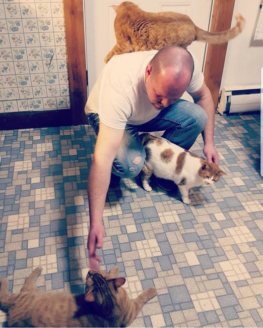 Any pet related stories? - 1