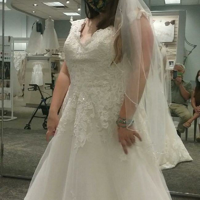 Wedding Dress Decisions 1