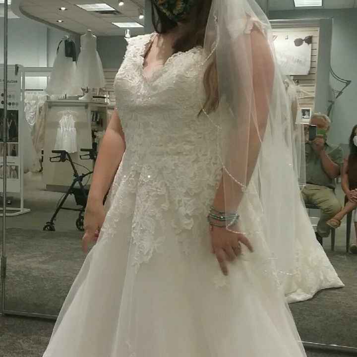 Wedding Dress Decisions - 1