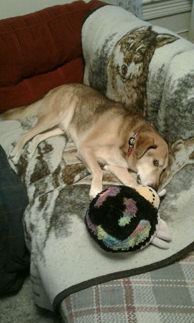 Nwr: puppy fever! (Pics included)