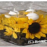 Thread of Random Questions