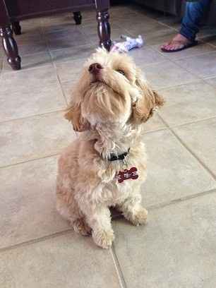 I'm in need of a post like this! {POST YOUR PICS!}