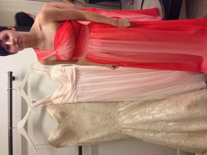 I SAID YES TO THE DRESS! Pics!